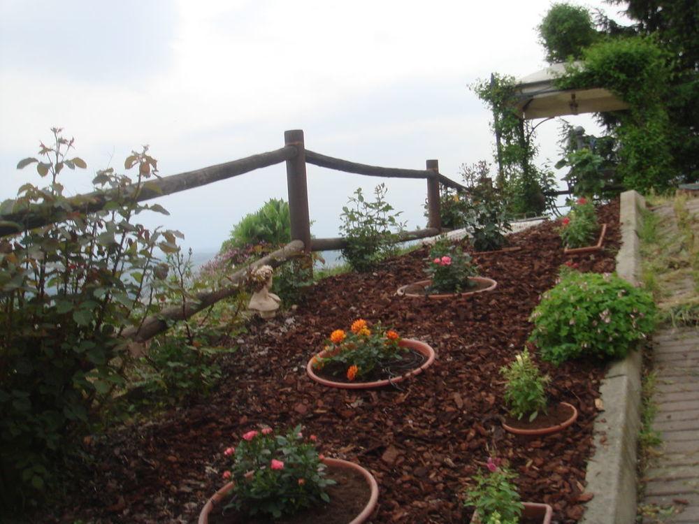 B&B La Taverna Degli Angeli Vezzi Portio 外观 照片