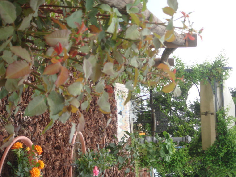 B&B La Taverna Degli Angeli Vezzi Portio 外观 照片